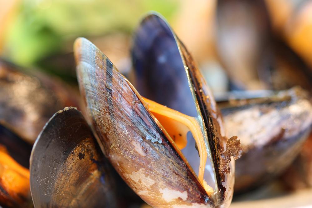 אובאן Oyster Inn Connel מראה חיצוני תמונה